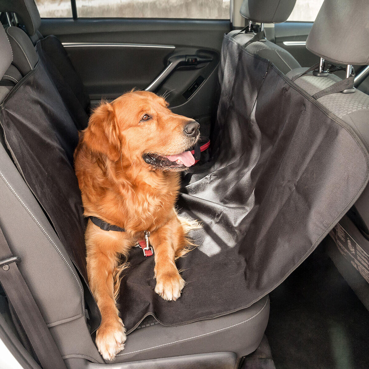 Funda anti pelos para tu mascota en el coche